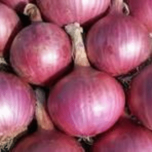 onion ( प्याज ) / Kg