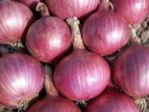 onion ( प्याज ) / Kg