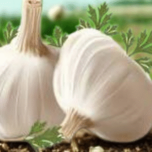 Lahsun ( लहसुन ) / 100 Gm