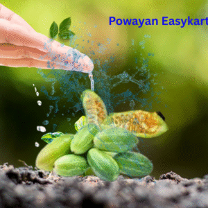 Kundru ( कुंदरू ) 250 Gm