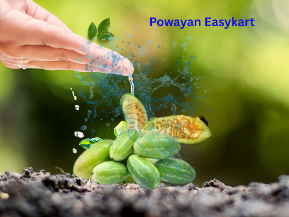 Kundru ( कुंदरू ) 250 Gm