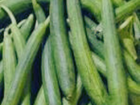 तुरई ( Turai) 500 Gm