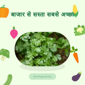 धनिया (Dhaniya) 100 Gm
