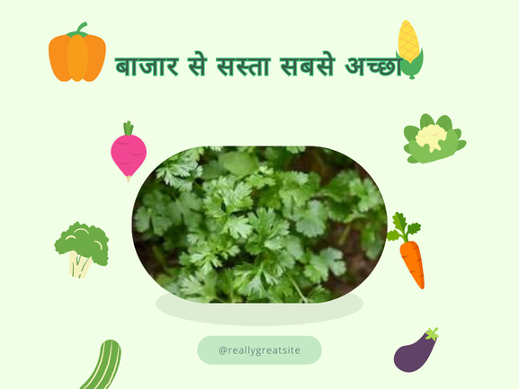 धनिया (Dhaniya) 100 Gm