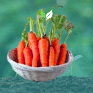 Gajar (गाजर) 500 Gm