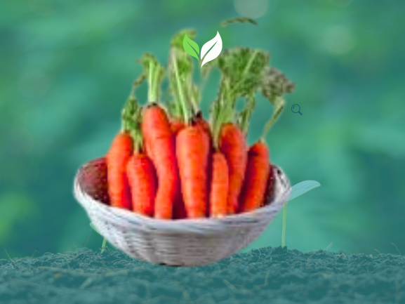 Gajar (गाजर) 500 Gm