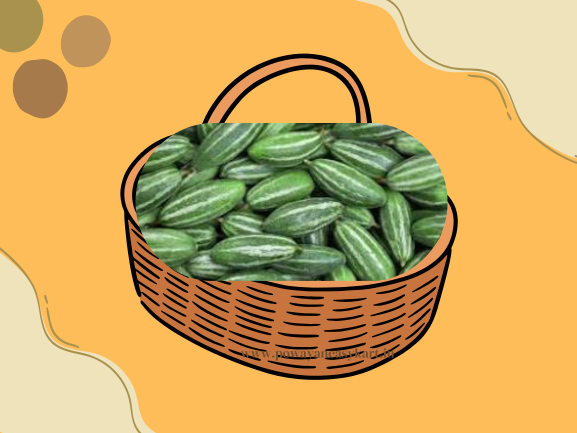 परवल (Parval) 250 Gm